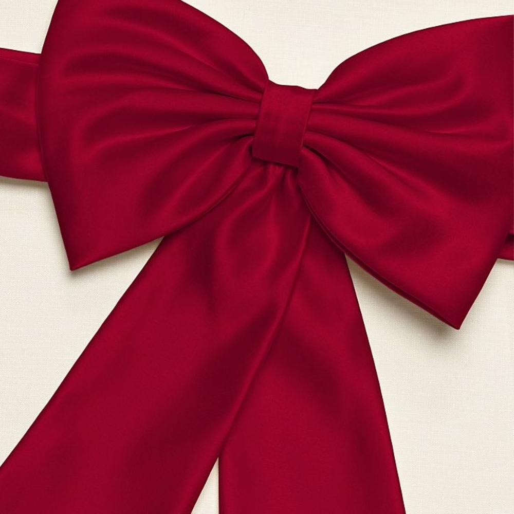 2 David’s Bridal Sashes